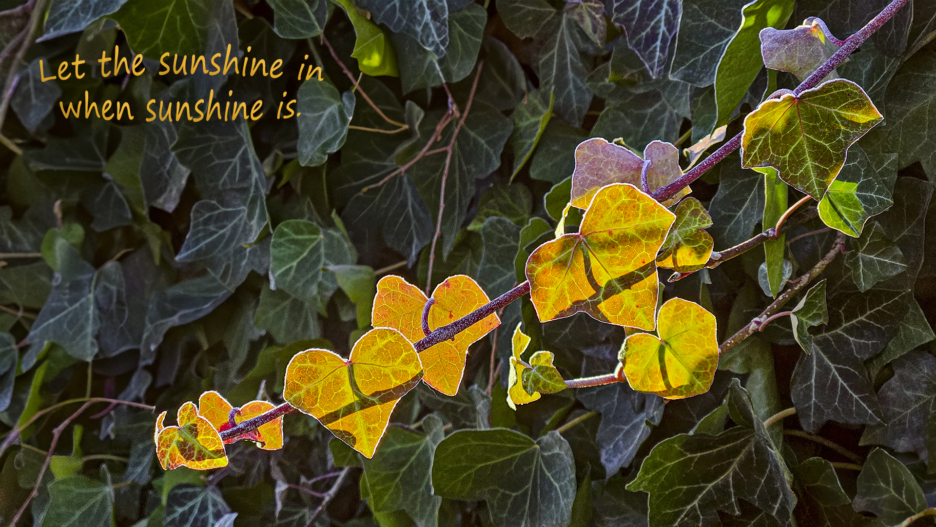 Let the sunshine in when sunshine is.