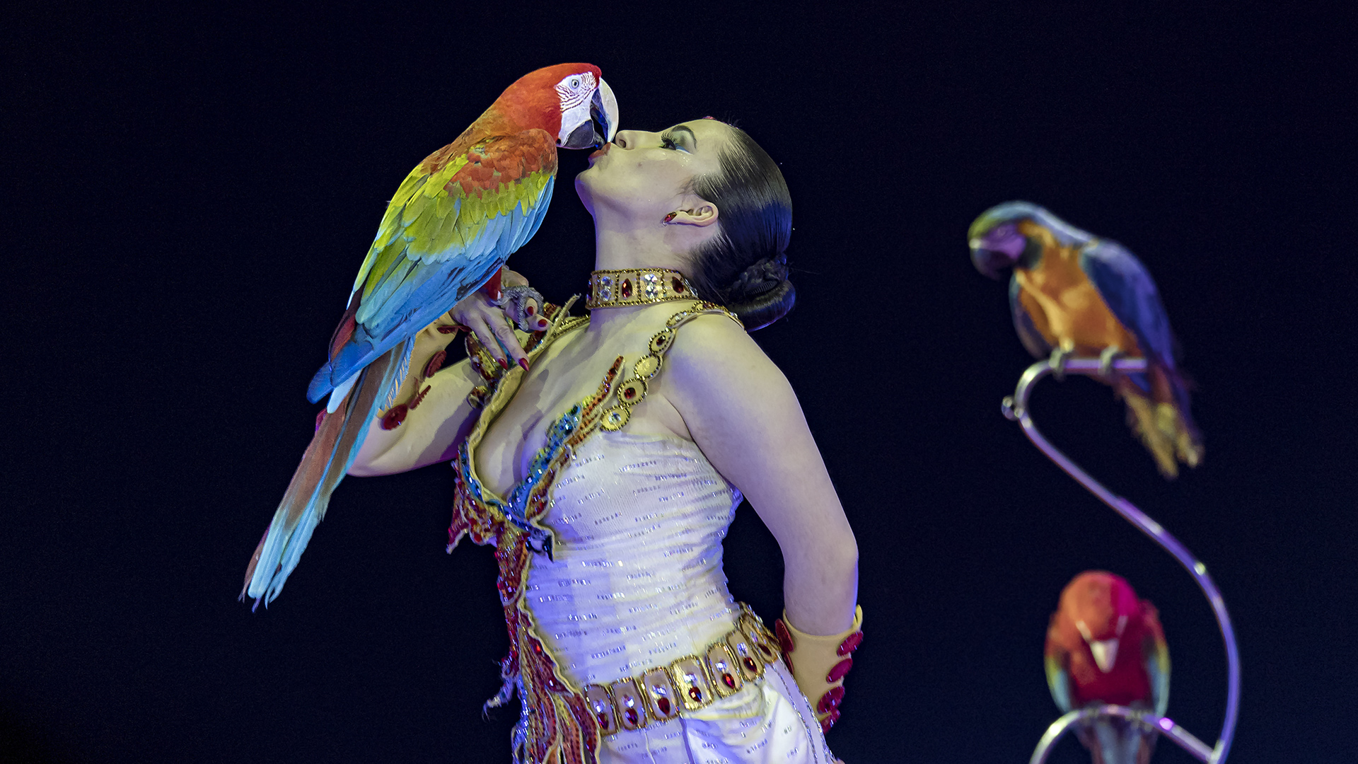 Papageien-Show, Laura Uronova, Weihnachtscircus Krone Würzburg 2024/2025.