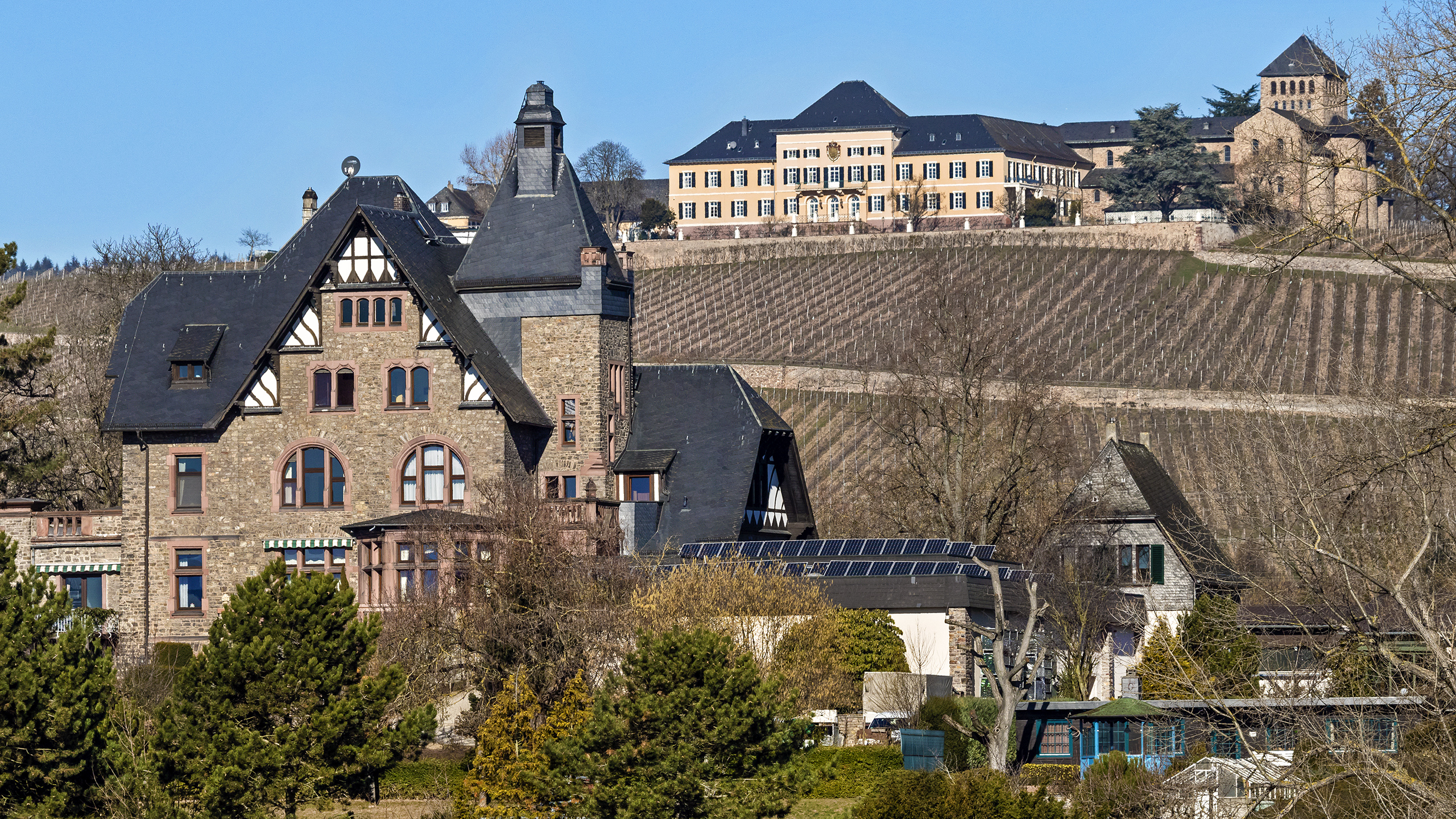 Oder lieber direkt am Rheinufer?