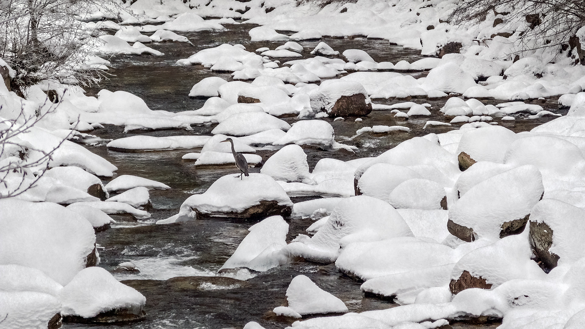 Flüsschen Rein bei Sand in Taufers.
