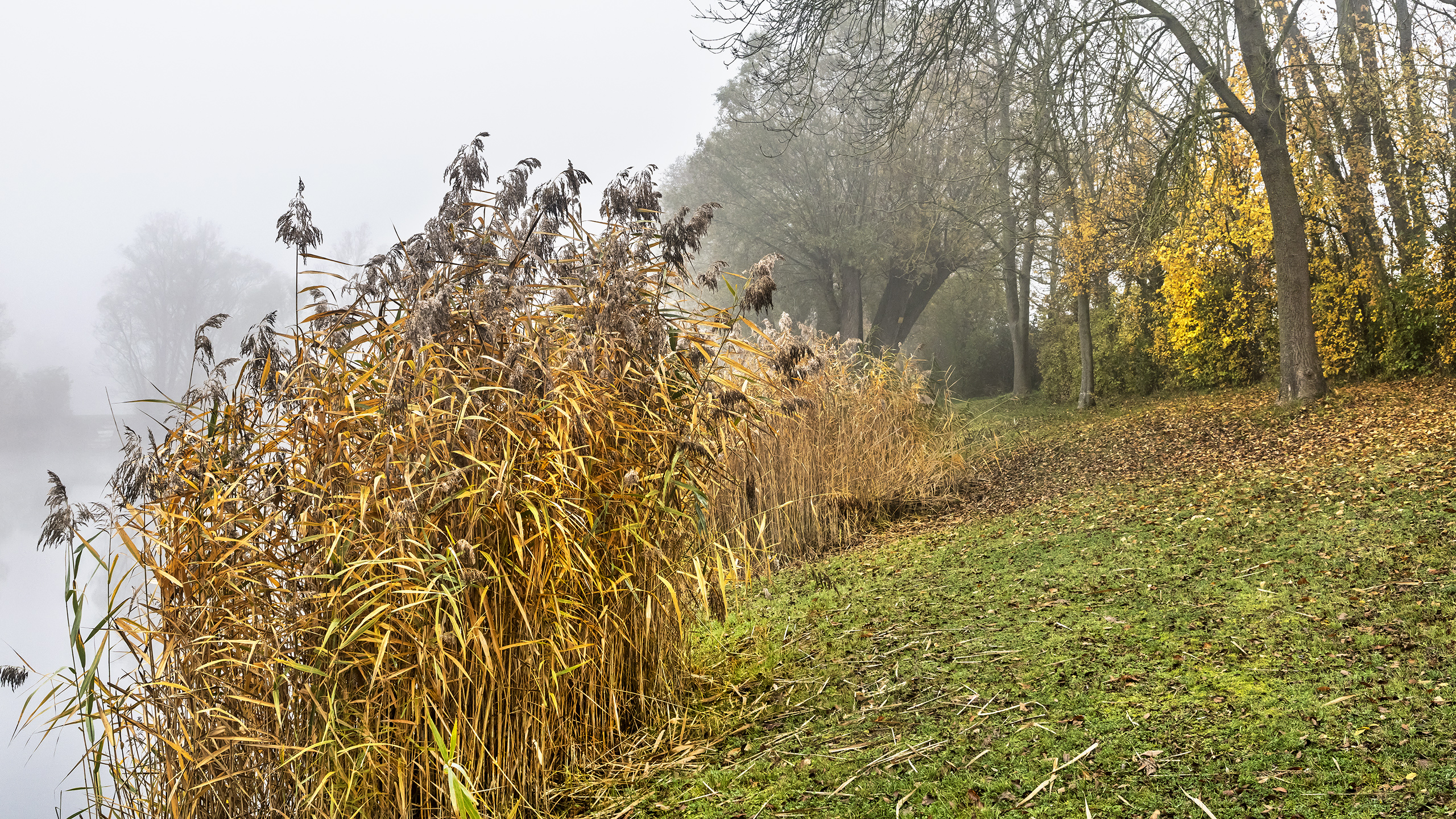 Altrhein bei Stockheim am Rhein.