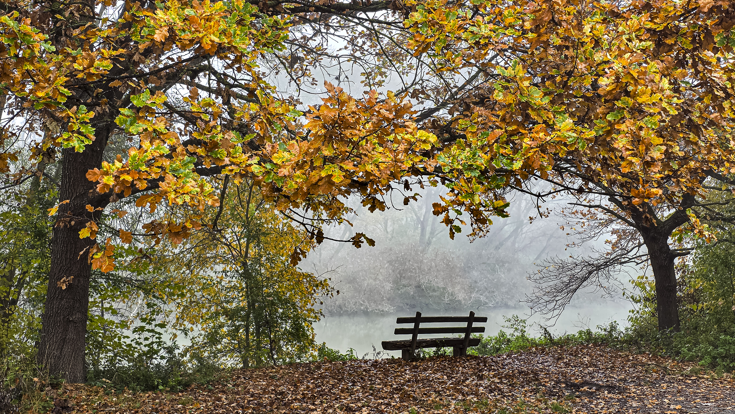Altrhein bei Stockheim am Rhein.