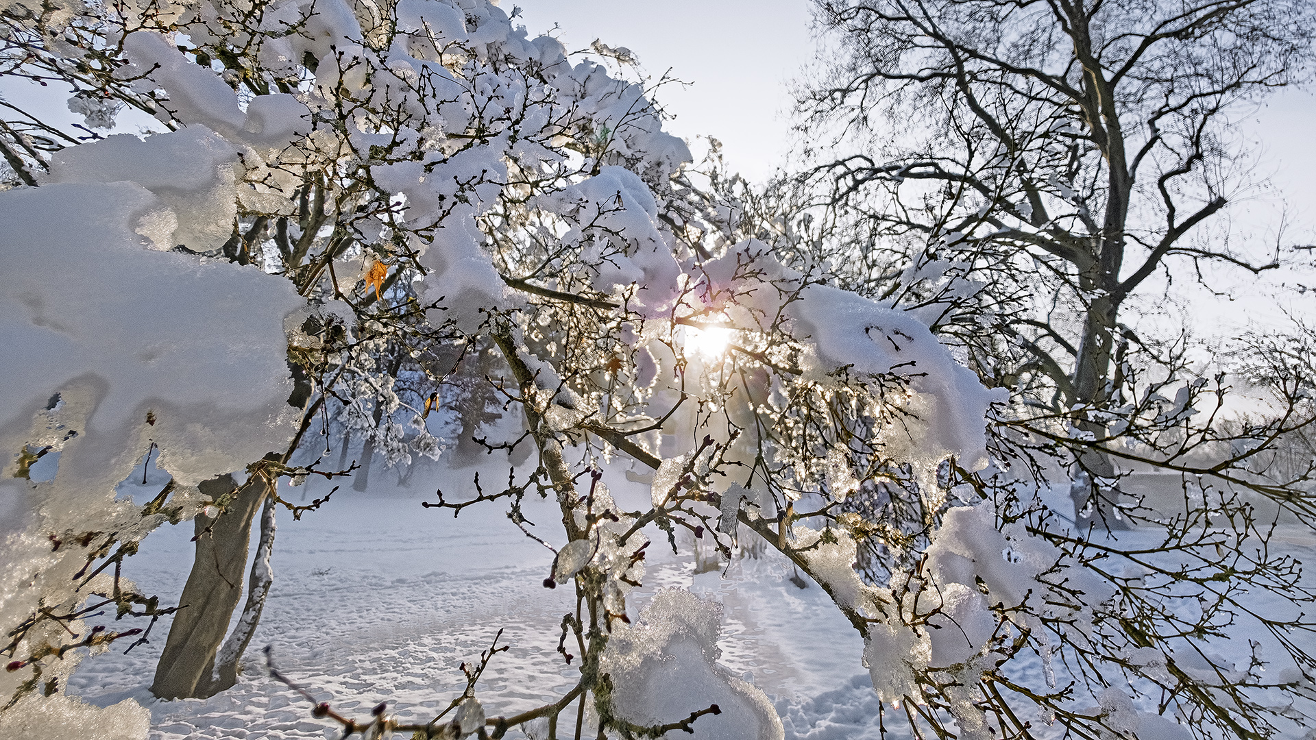 2026: Schnee wie in "alten Zeiten" gab's lange nicht mehr!