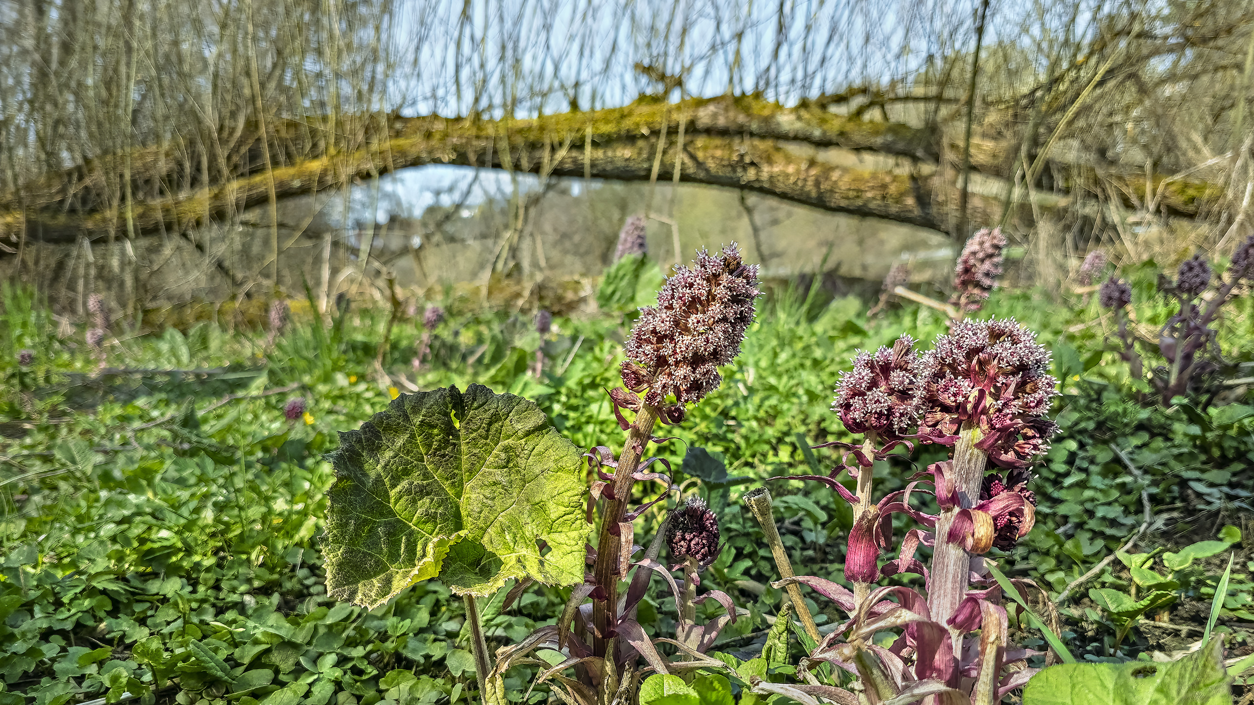 Karfreitag und Ostern, Ende und Neuanfang im Tal der Weil/Ts.