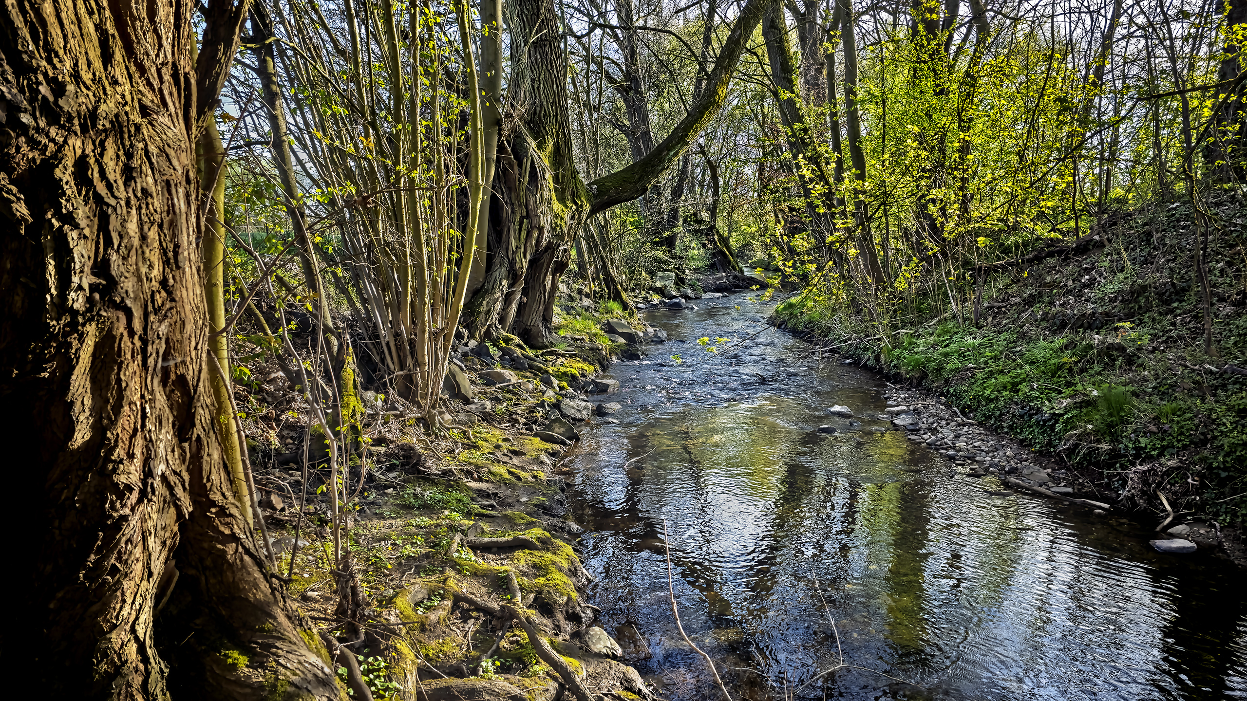 Am Erlenbach (HG-Obererlenbach). 