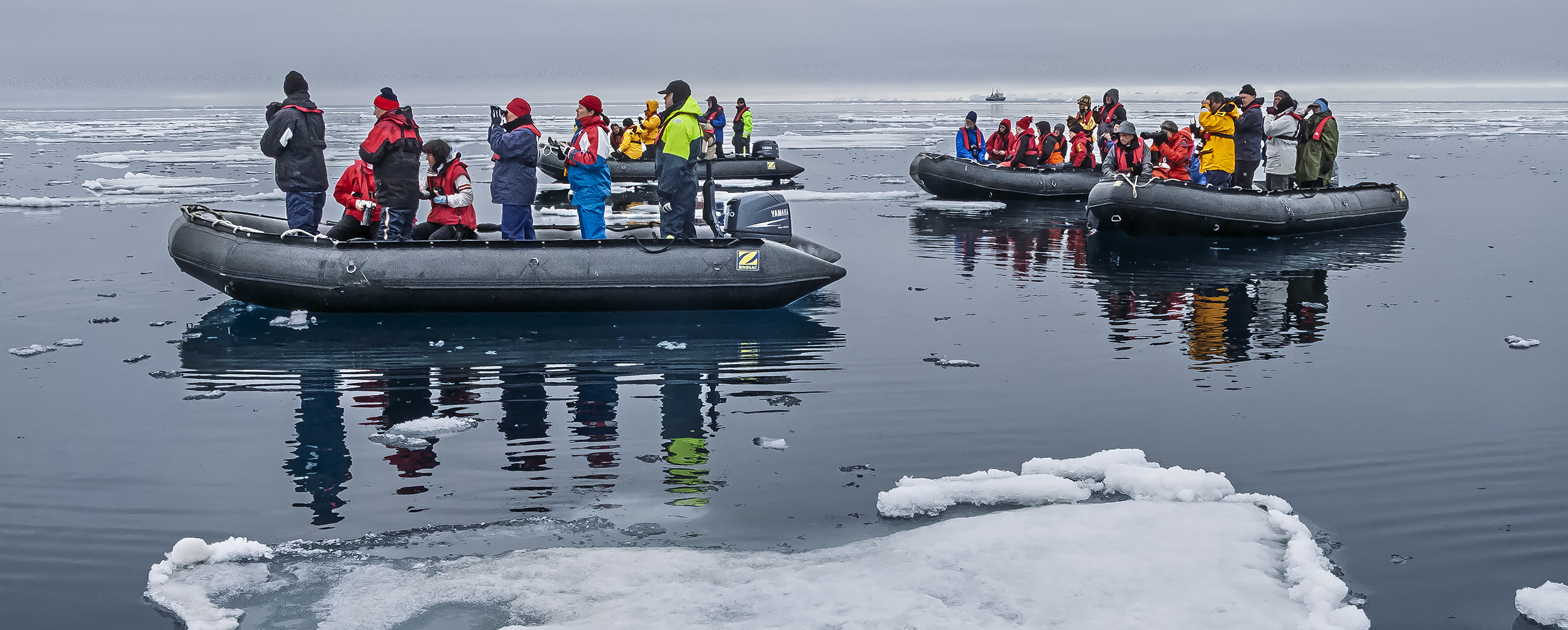Watch out for polarbears?