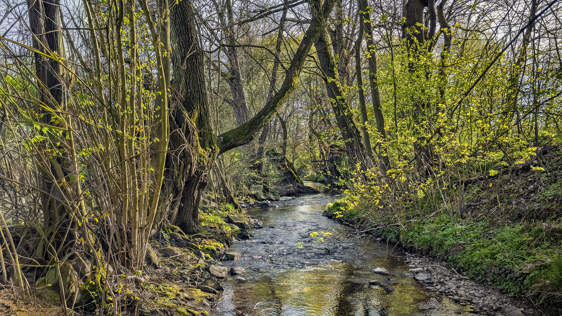 Am Erlenbach (HG-Obererlenbach).