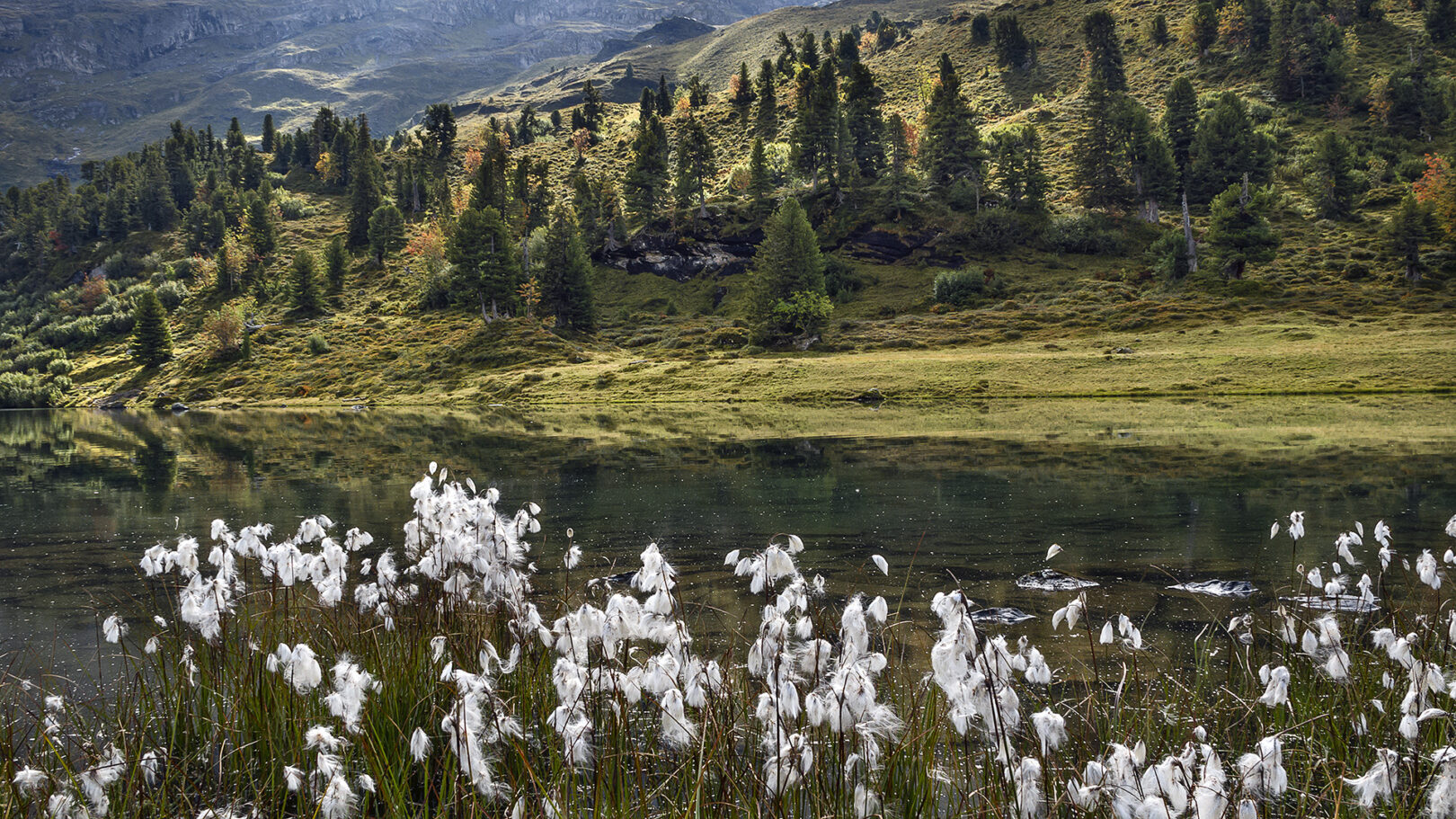 Engstlen See, Berner Oberland