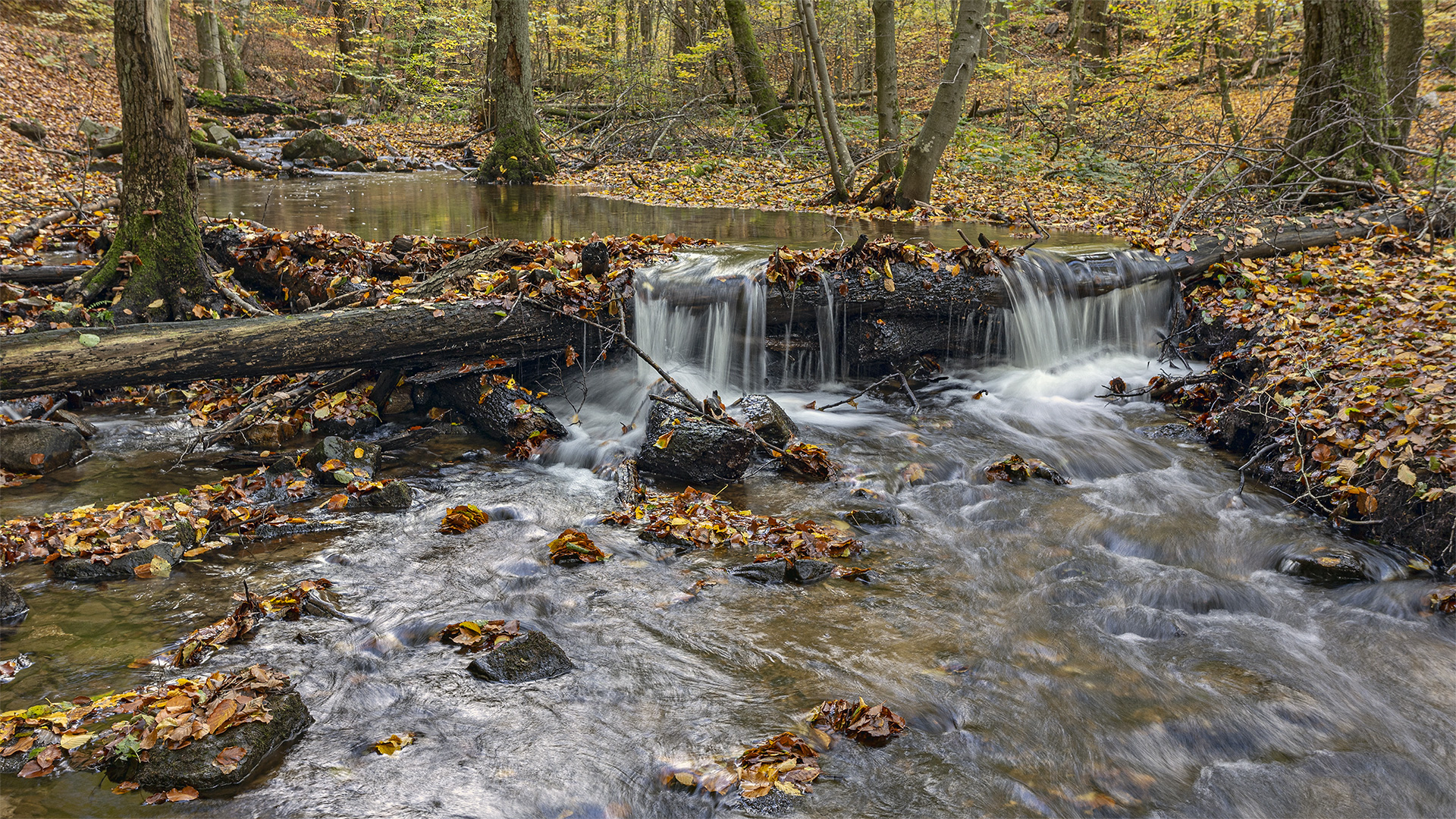 Am Urselbach, Naturpark Hochtaunus.