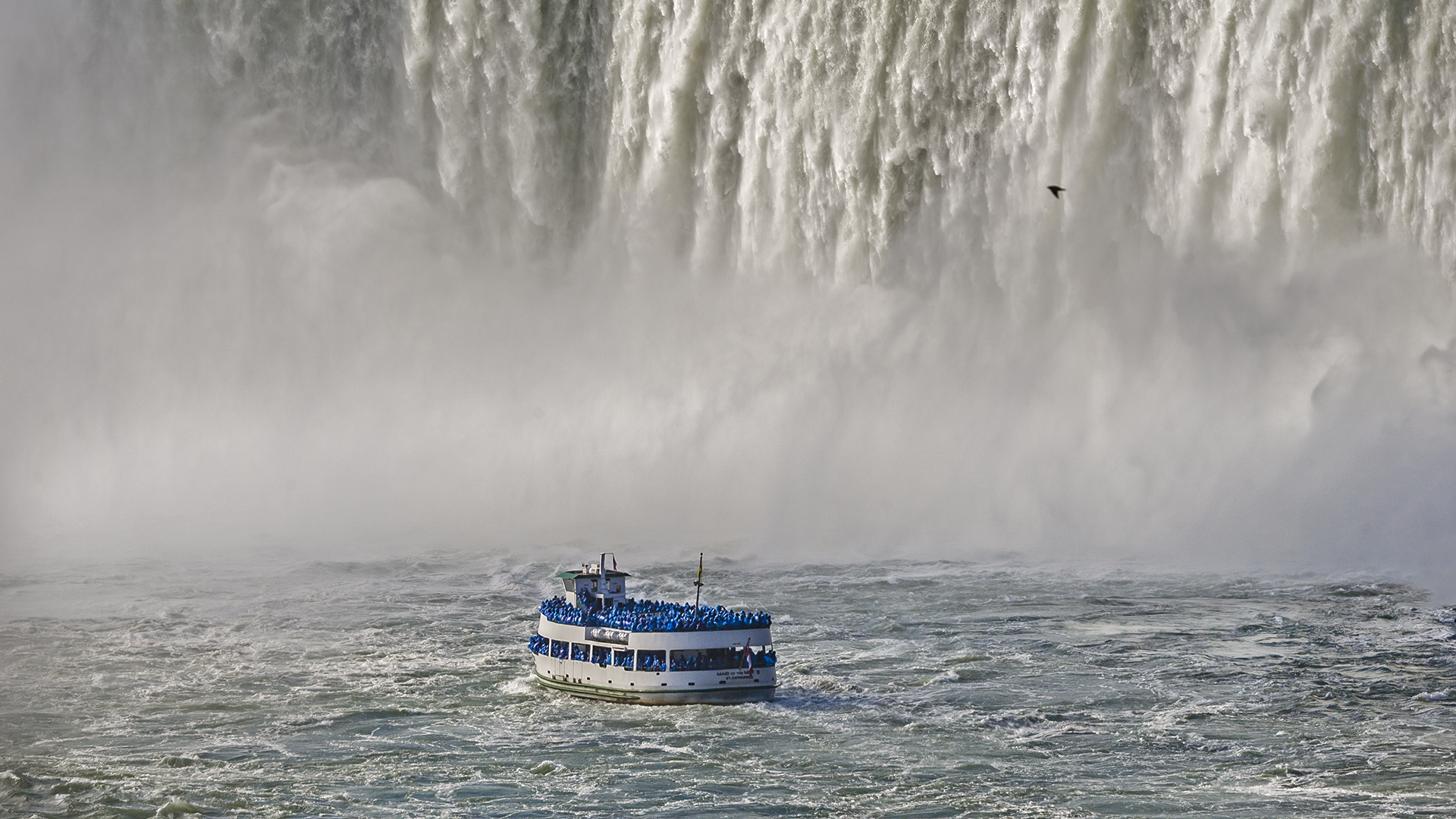 Der Weg zu den Quellen führt gegen den Strom (Niagara).