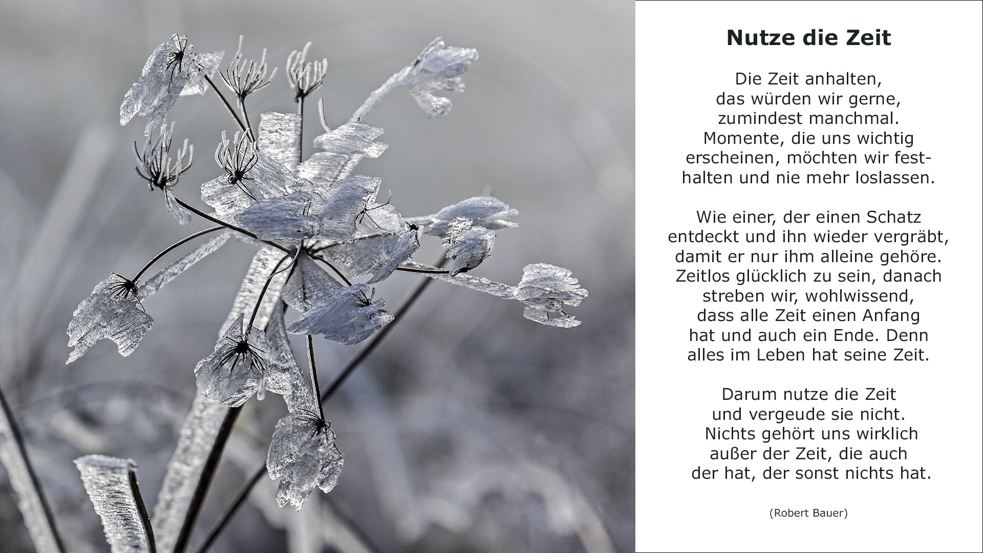 NUTZE DIE ZEIT
