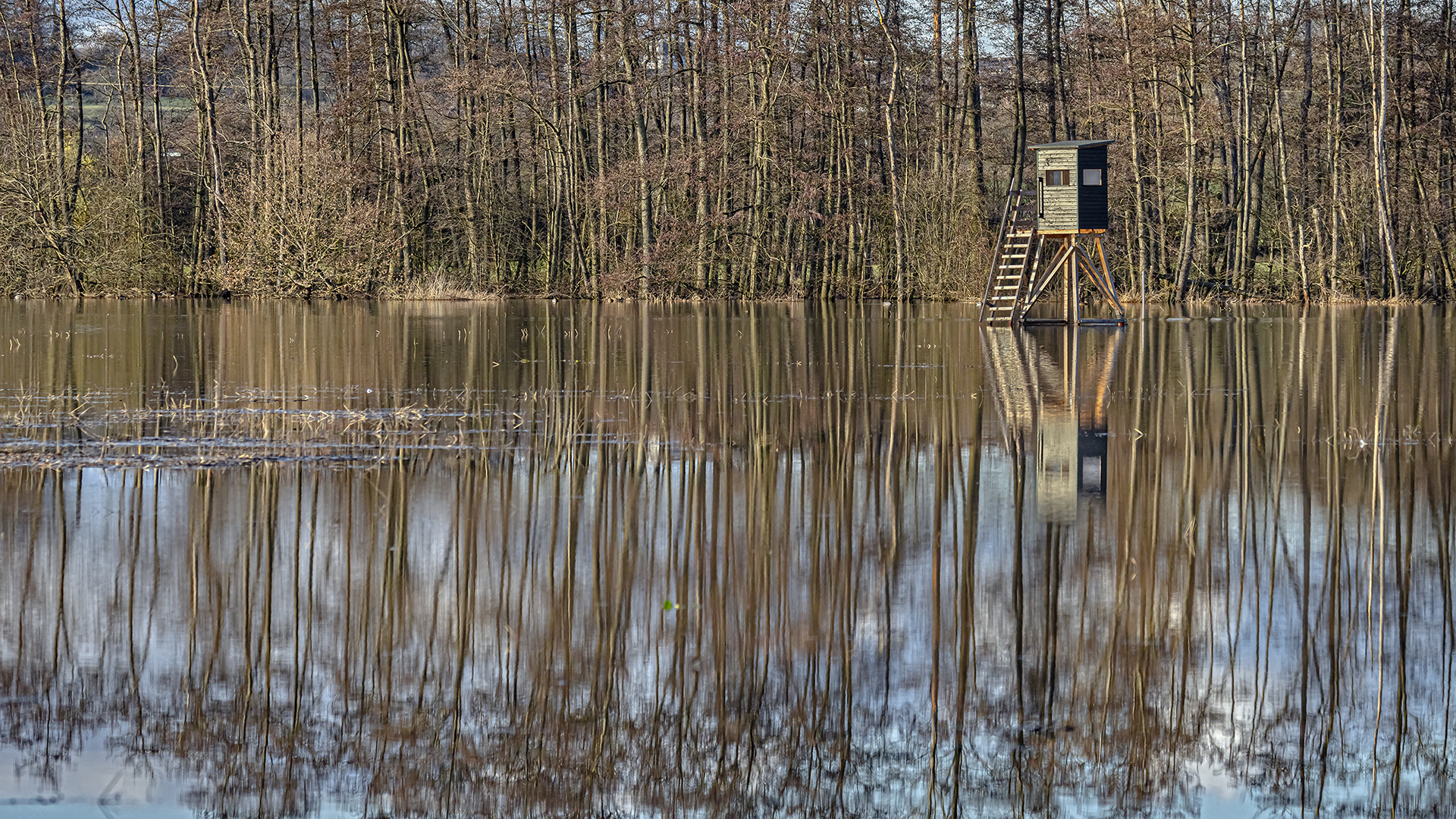 Waldmannsheil versus Petri Dank! Hochwasser in den Horloff-Auen (Wetterau).