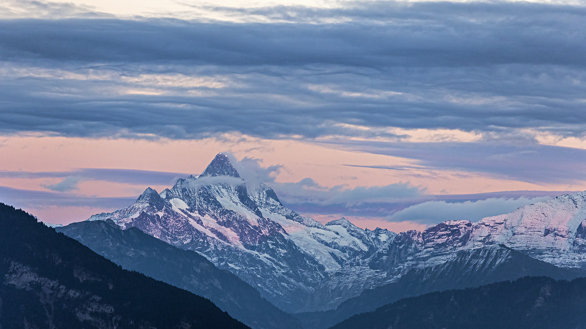 Schreckhorn