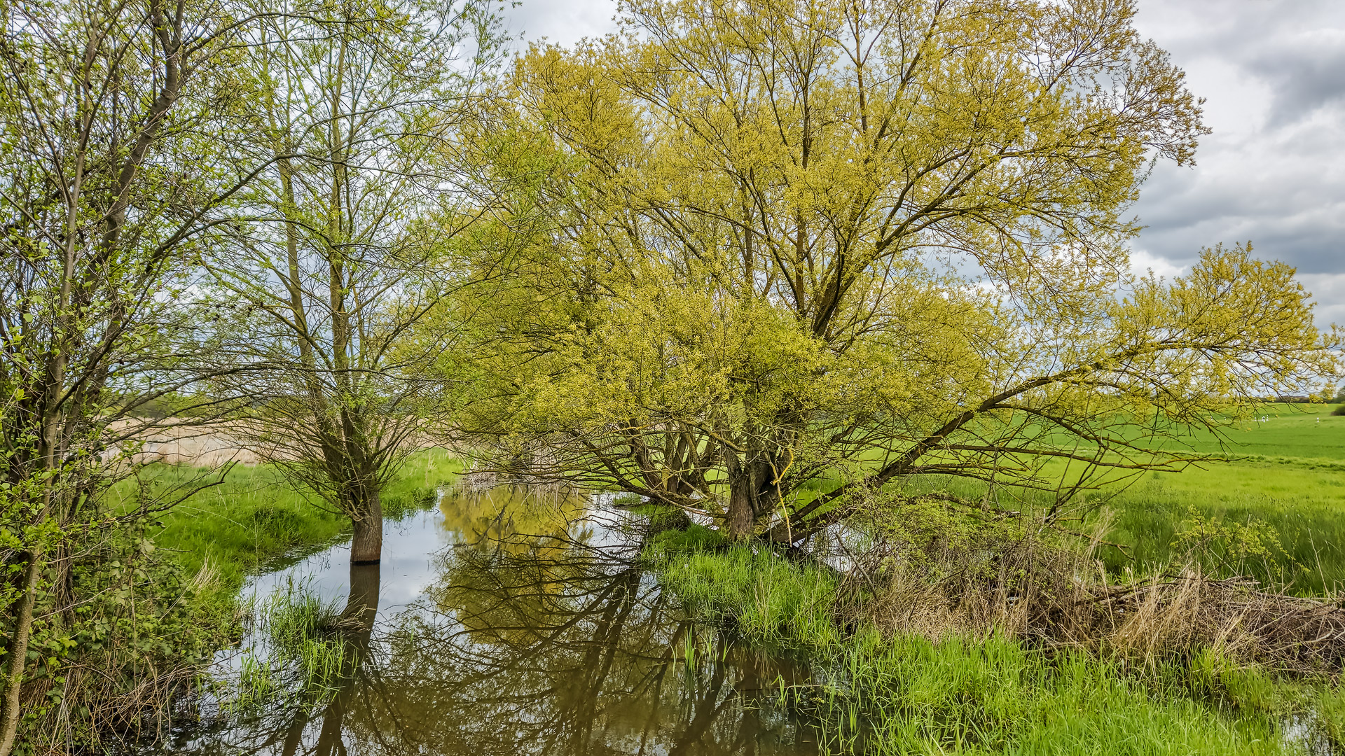 NSG Horloff-Auen bei Trais-Horloff, Wetterau.