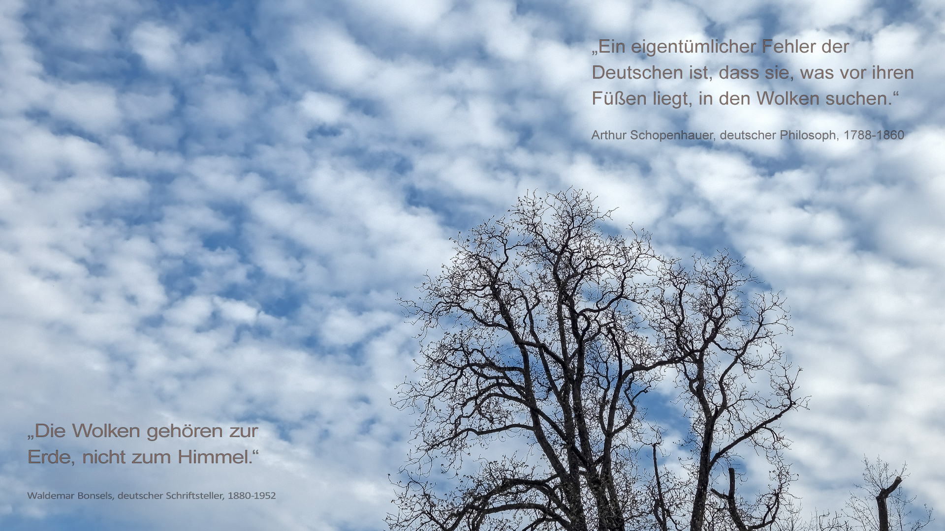 Leben auf WOLKE 7 - das war einmal.