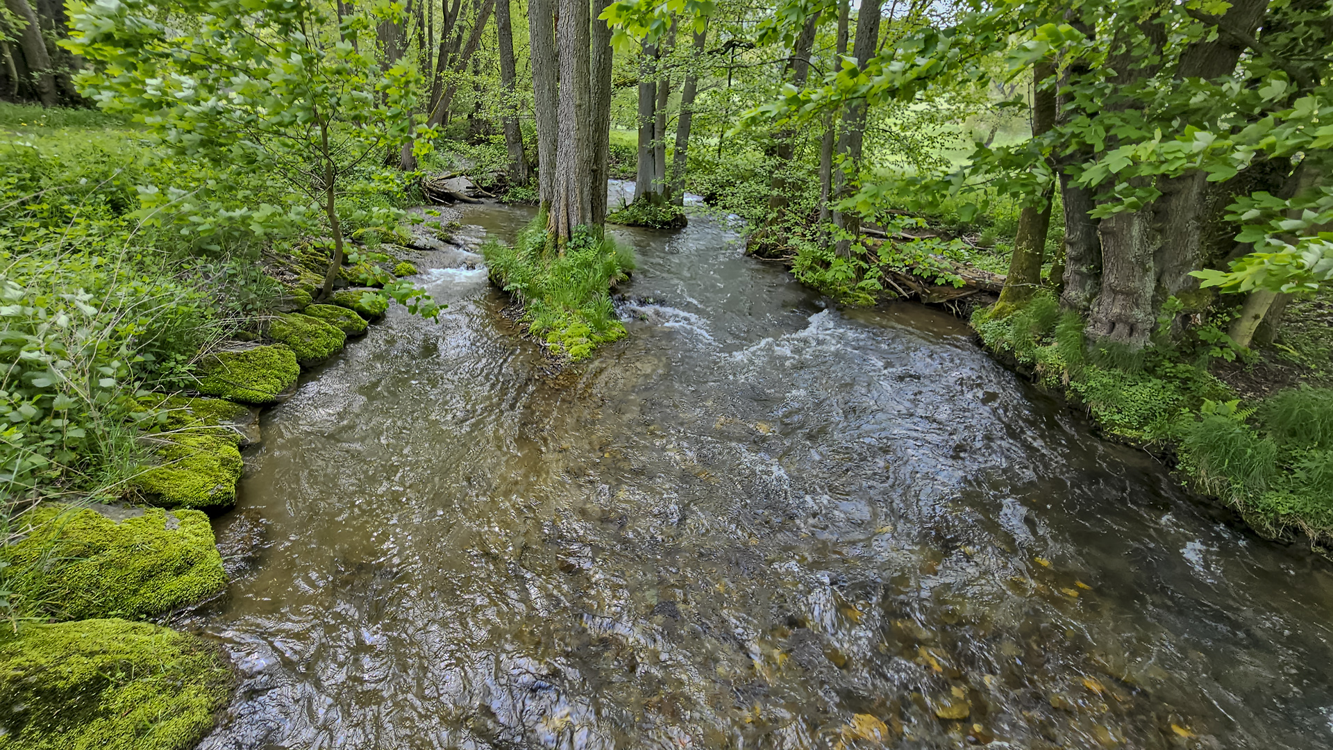 Im Tal der Weil, Hochtaunus.