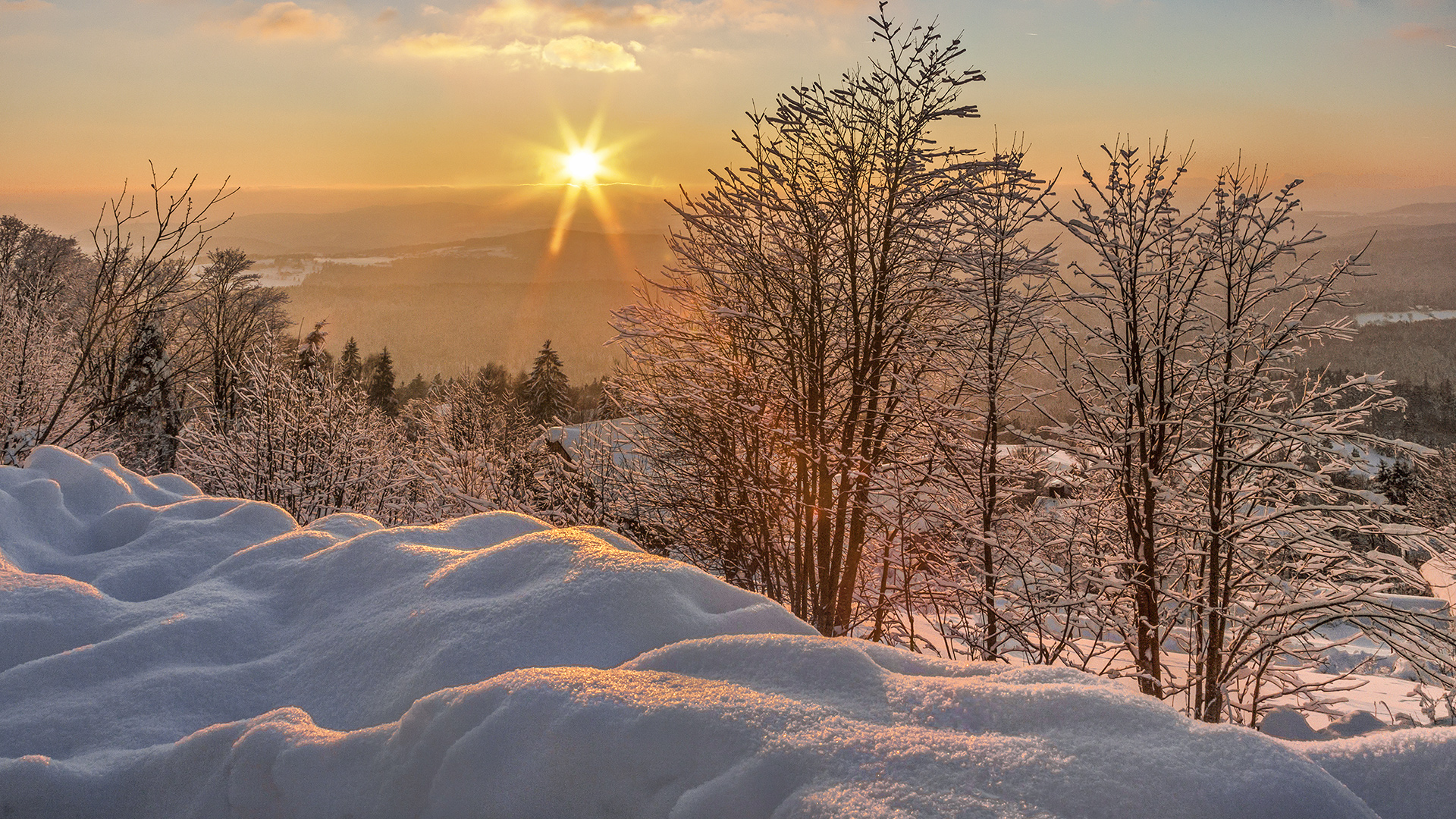 Abendstimmung im Bayerischen Wald unweit des Lusen.
