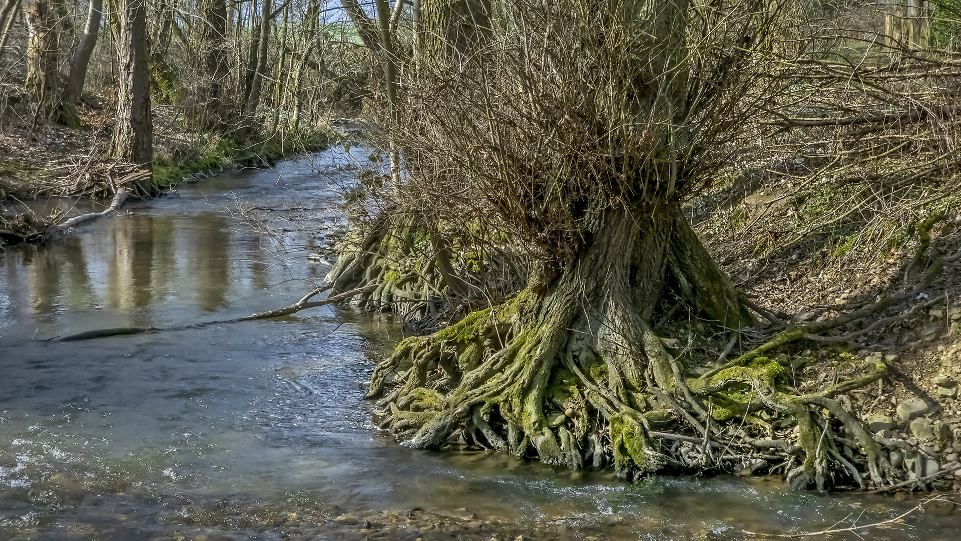 Am Erlenbach (HG-Obererlenbach).