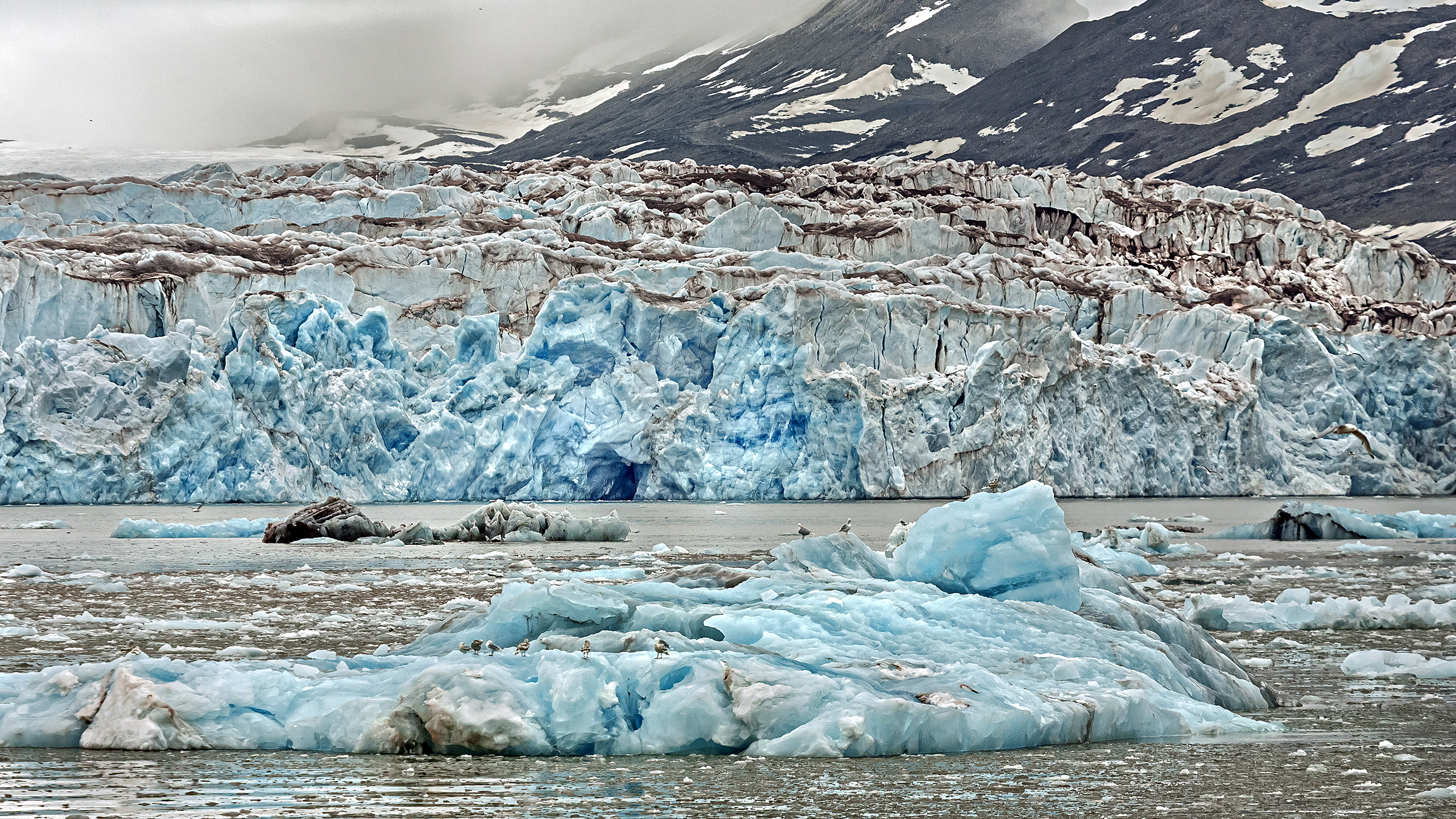 Svalbard: Kingsbay