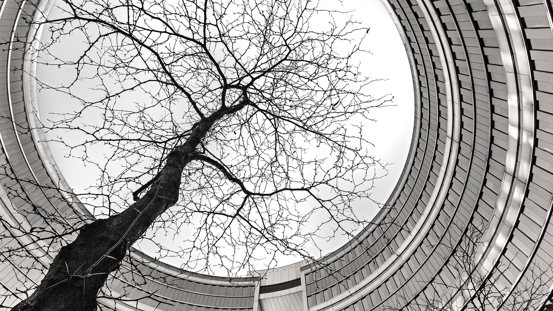 OMEGA-Haus, Offenbach.