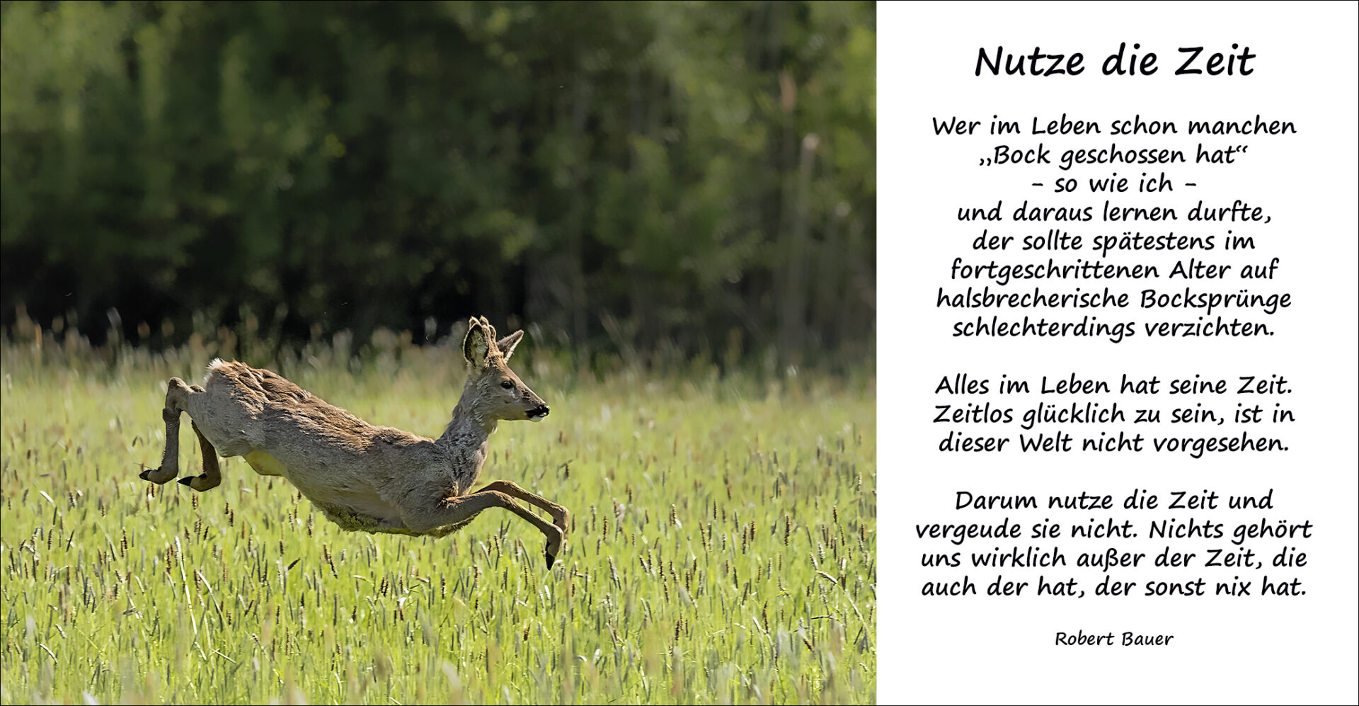 NUTZE DIE ZEIT