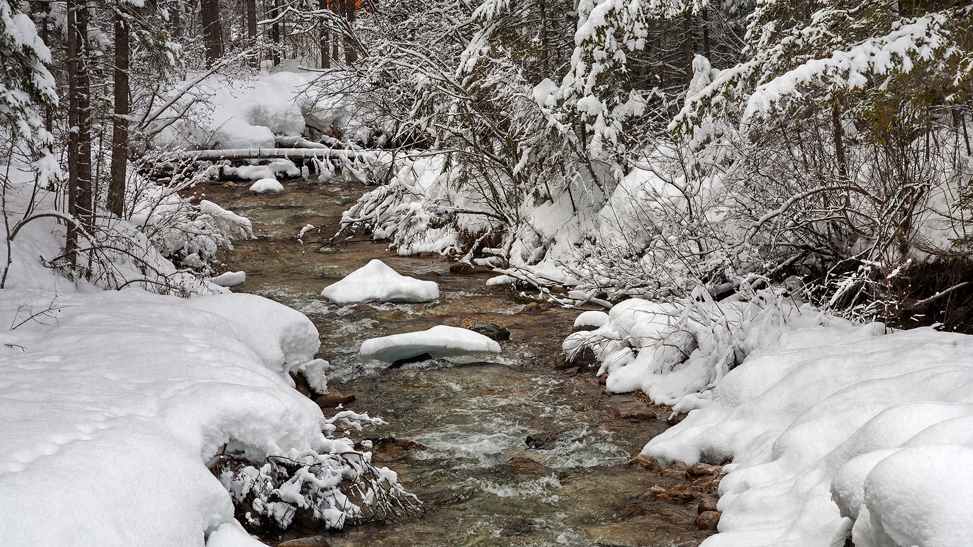Winterzauber im Pragser Tal.