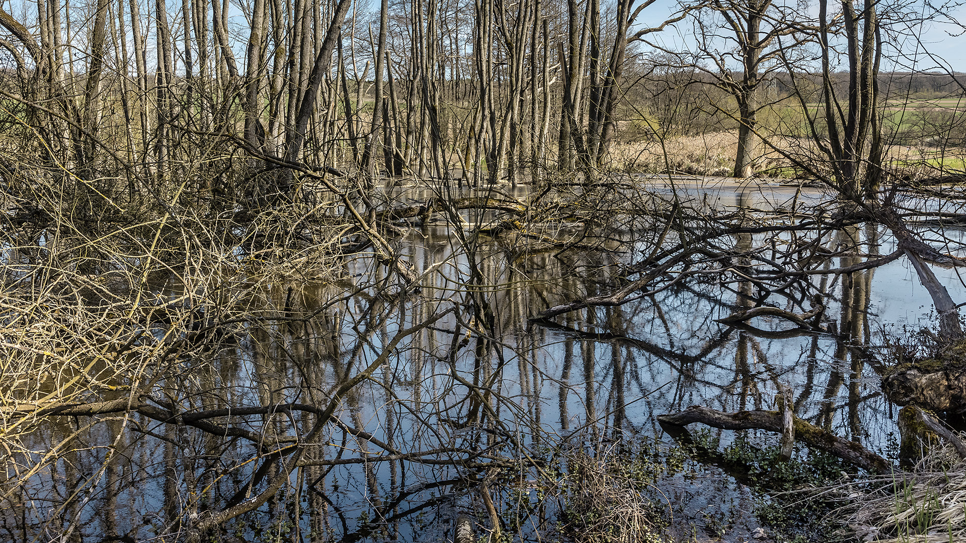 Zeubelrieder Moor - Biberland.