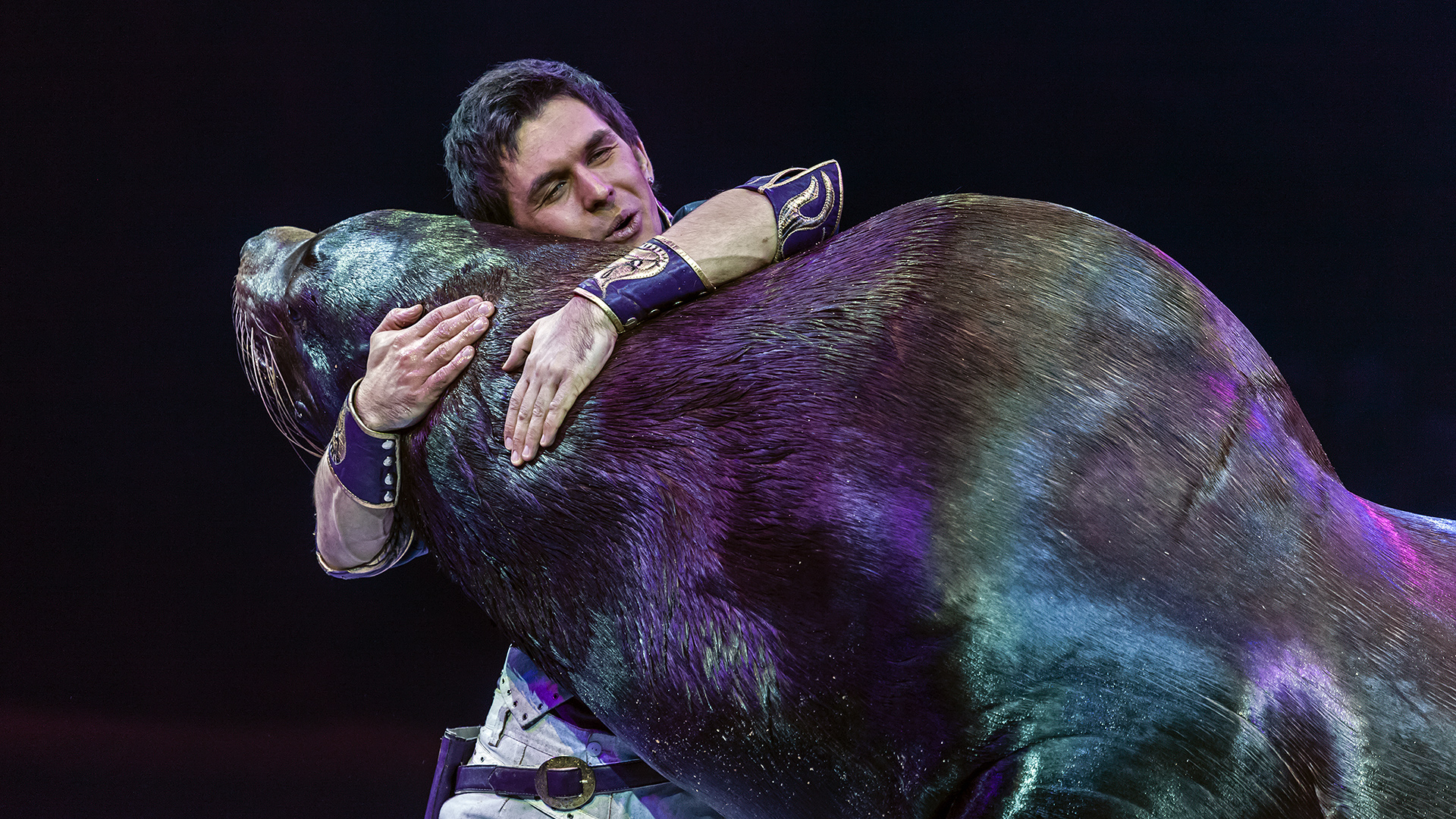 Vasily Timoschenko und seine Seelöwen. Weltweihnachtscircus Stuttgart 2016.