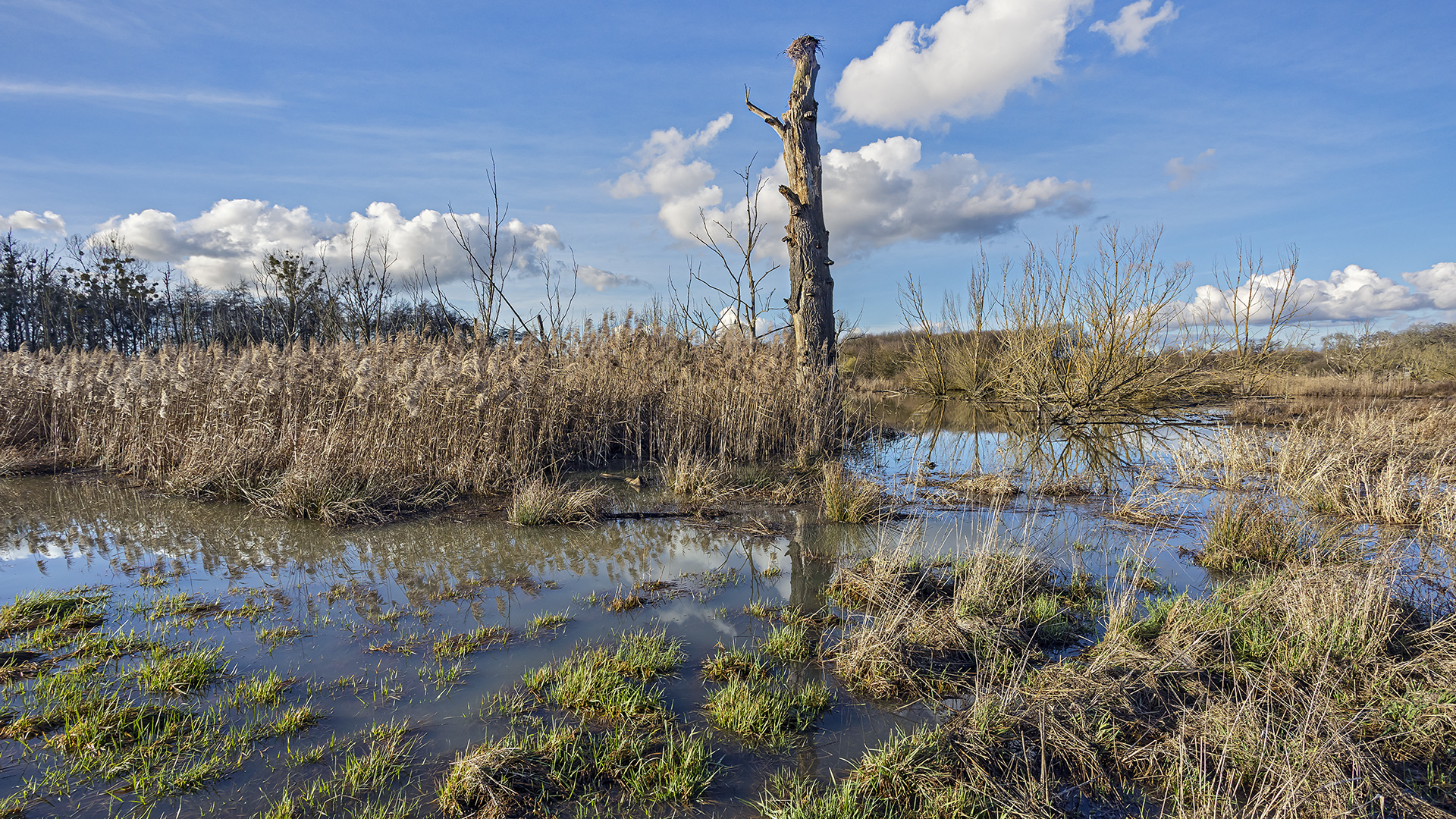 Hochwasser in den Horloff-Auen (Wetterau).