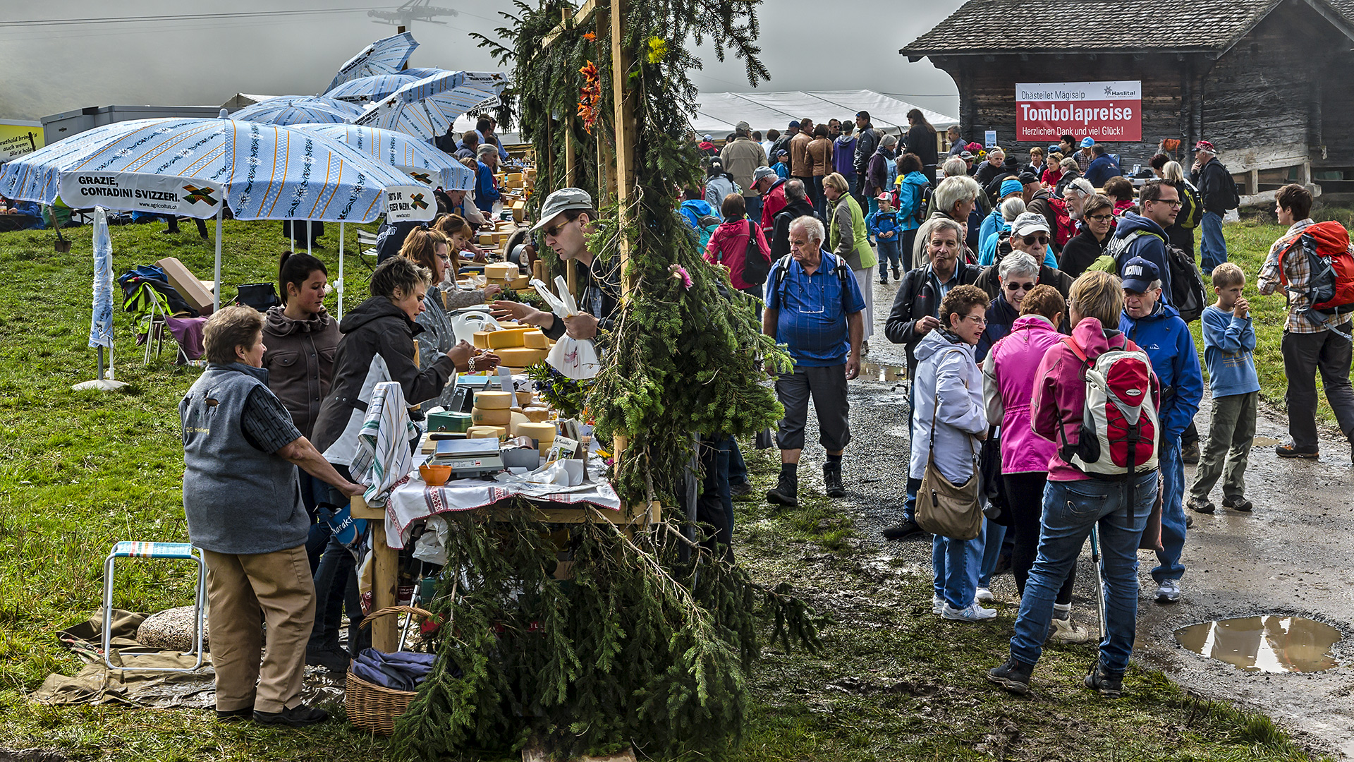 CH-ästailet auf Mägisalp, Haslital, Berner Oberland.
