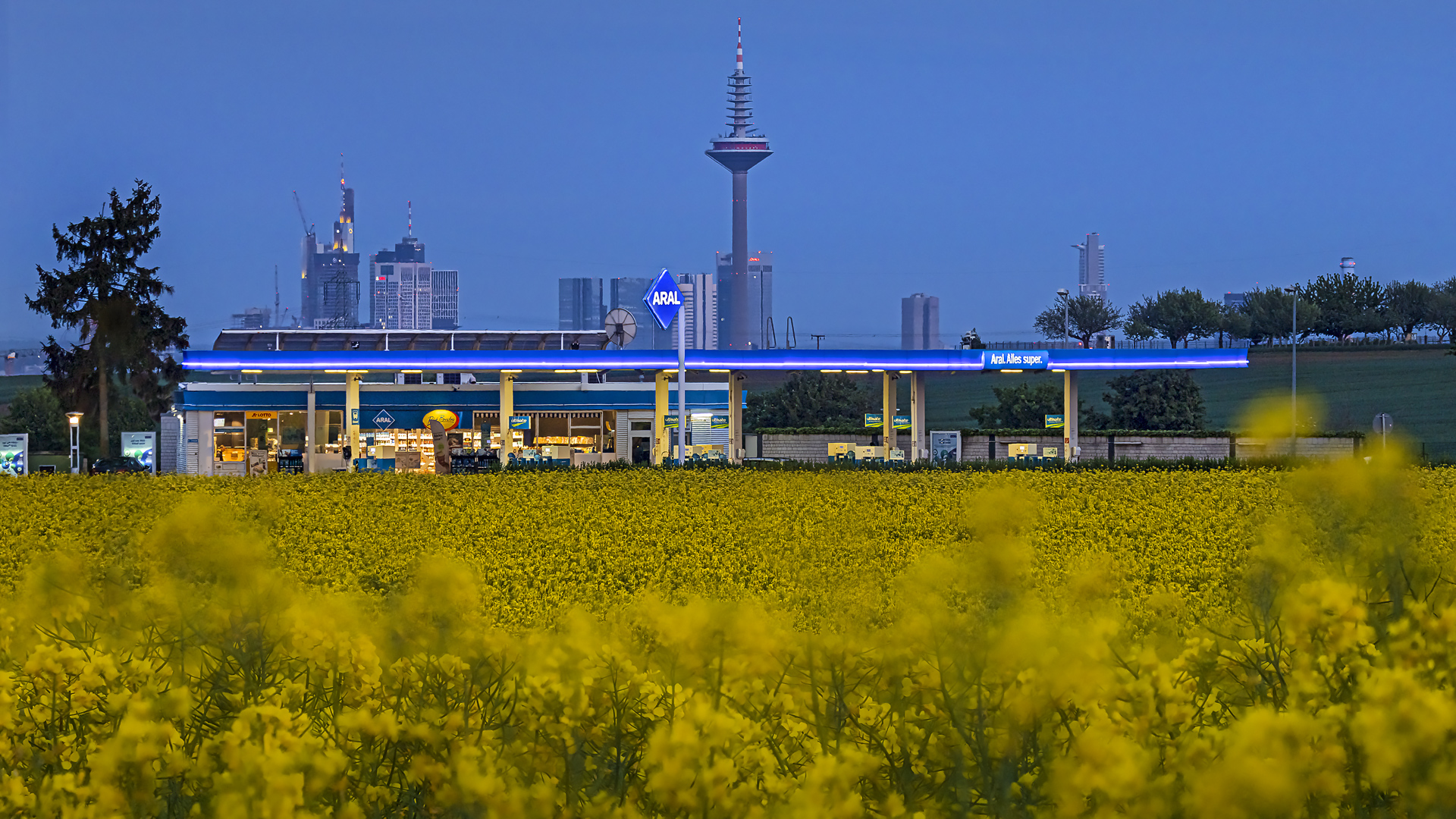 Raps-Blick nach Frankfurt.