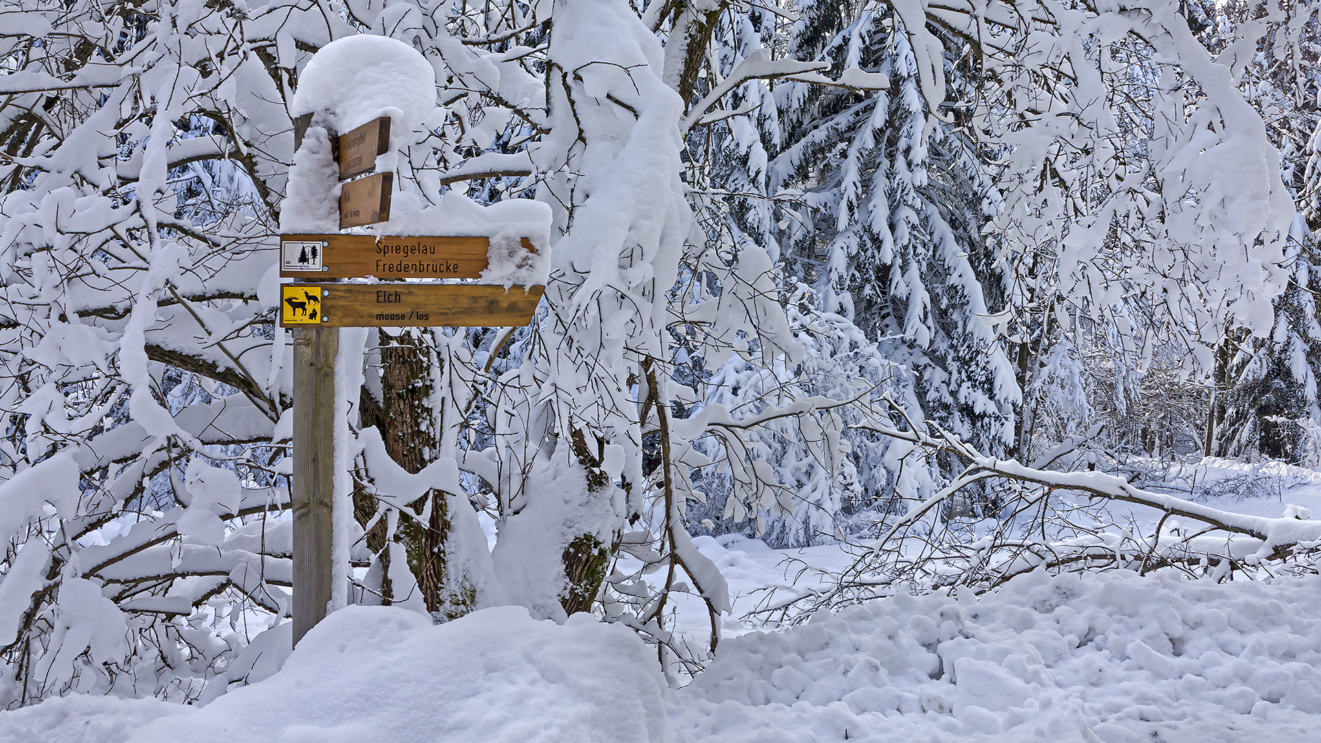 Nationalpark Bayerischer Wald, Tierfreigelände.