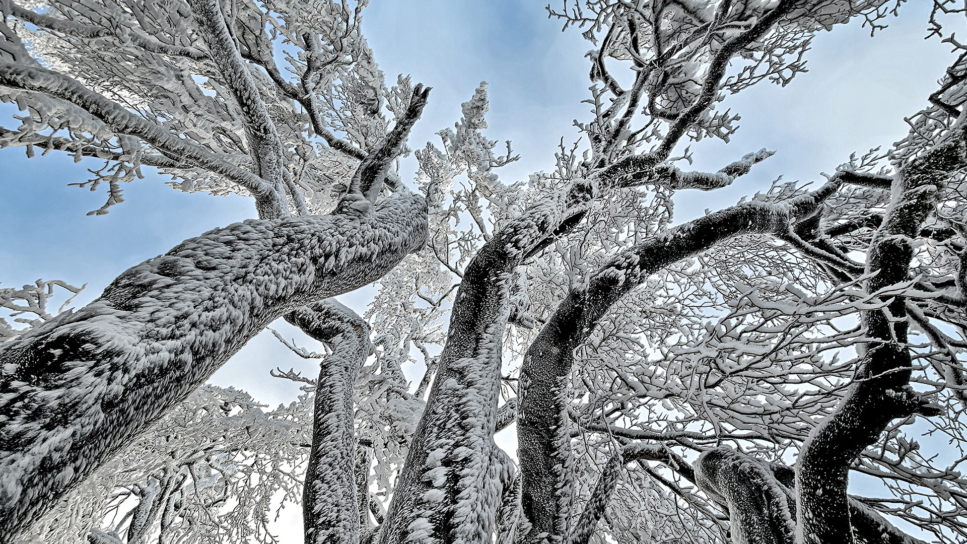 Großer Feldberg im Taunus: Froststarre bei Nordwetterlage.
